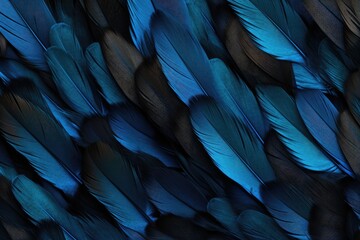 Blue And Black Jay Feathers, Background Or Texture