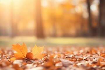 Naklejka na ściany i meble Close Up Beautiful Autumn Landscape
