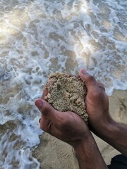 hands on the beach