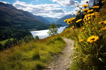 Foto op Plexiglas Glenfinnanviaduct Wildflowers Along A Hike Near Glenfinnan And Lake