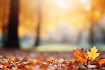 Naklejka na ściany i meble Close Up Beautiful Autumn Landscape