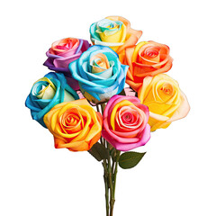 Rainbow roses grouped on a transparent background