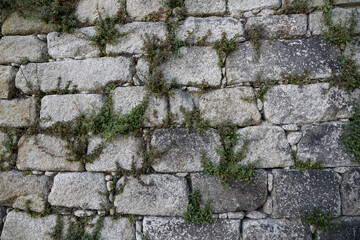 wall of stones, plants sprouted through stones, background
