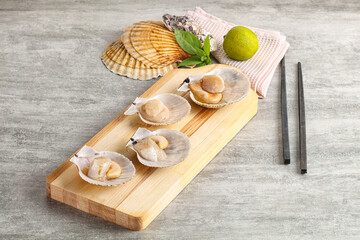 Raw natural scallop in its shell