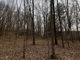 sunset, sun, water, sky, river, sunrise, lake, nature, landscape, sea, clouds, reflection, orange, evening, dusk, ocean, cloud, red, boat, horizon, light, travel, yellow, silhouette, summer sky, grass