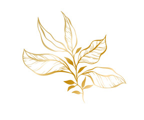 Botanical golden illustration of a leaves branch for wedding invitation and cards, logo design, web, social media and posters template. Elegant minimal style floral vector isolated.