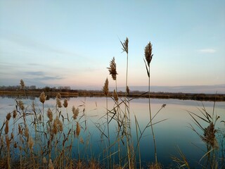 Beautiful view of the lake with reeds and sunset. Evening landscape on the river.