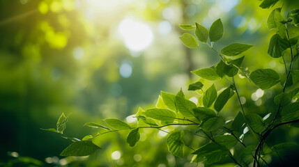 Fototapeta na wymiar Abstract Green Foliage And Tree In Jungle Blur