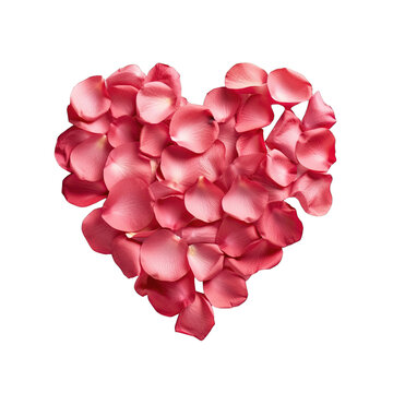 Valentine concept Red rose petal heart on transparent background