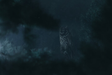 3D rendering of long eared owl sitting in the branches of a conifer forest at night