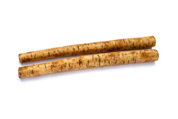 Burdock Root (Gobo) on white background.