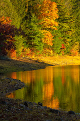 Colorful fall foliage reflected on Buckingham Reservoir in Glastonbury, Connecticut.