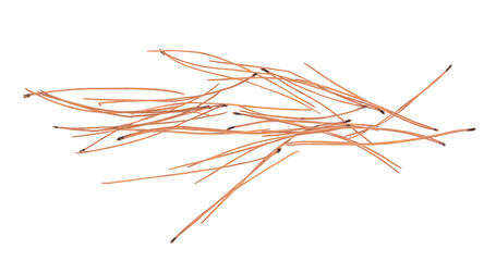 Autumn conifer leaves, needles isolated on white, top view 