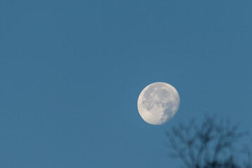 Moon in blue sky