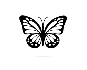 butterfly vector