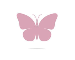 butterfly illustration