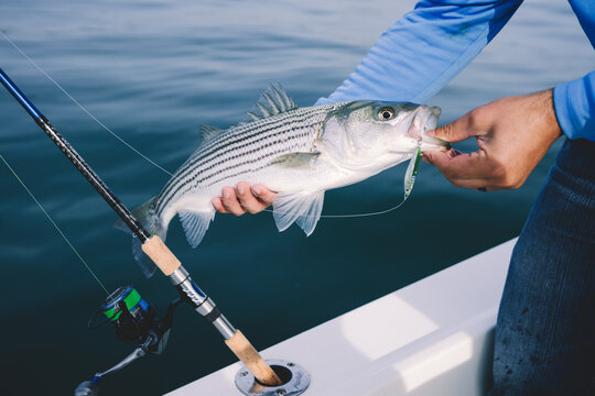 man striper fishings surf casting 