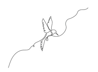Flying hummingbird bird continuous line drawing. Simple linear style bird logo. Vector icon contour illustration. © steadb