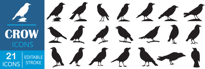 Set of crows. Set of crow silhouettes. Black crow icons set. Vector illustration