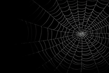 Spider web on black background Generative AI