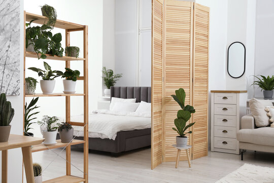 Stylish Room With Different Potted Green Plants On Shelving Unit And Comfortable Bed