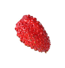 One ripe wild strawberry isolated on white