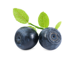 Tasty ripe bilberries and green leaves isolated on white