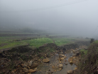 china foggy moutain farm