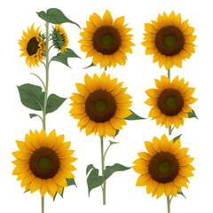 Obraz premium Photos from our Nature collection that depicts breathtaking flower photographs.