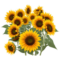 Fototapeta premium Photos from our Nature collection that depicts breathtaking flower photographs.