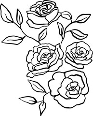 Rose flower line art illustration.