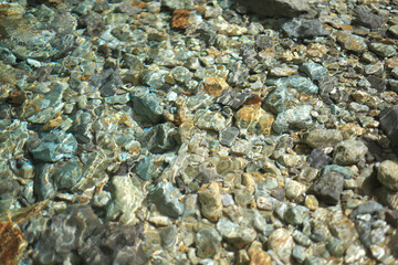 渓流の澄んだ水