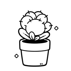 CACTI PLANT 