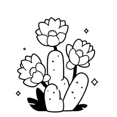 CACTI PLANT
