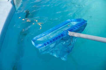 Someone using a pool skimmer for removing fallen leaves and debris floating on the surface of the...