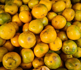 pile of oranges