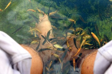 Fish Therapy, Removes dead skin cells and stimulates the growth of new skin cells.