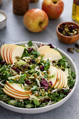 Fall salad with kale, cabbage and apples, topped with pumpkin seeds and dried cranberry
