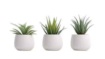set of plants in ceramic pots isolated on transparent background, realistic.