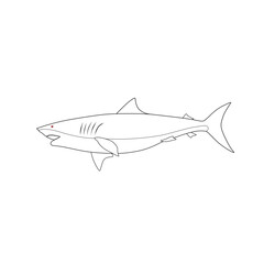vector illustration drawing, shark on white background - 635690571