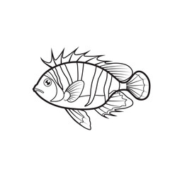 Vector of fish cartoon. Line art on white background. - 635690575