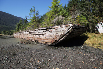 Old river barge overrun by nature