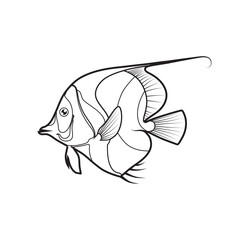 Vector of fish cartoon. Line art on white background. - 635690585