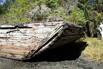 Old river barge overrun by nature