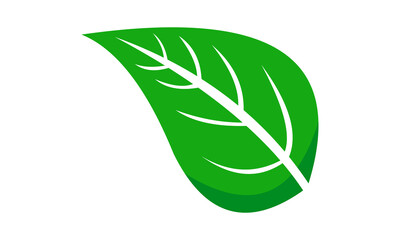 green leaf vector symbol icon