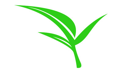 leaf vector icon logo illustration
