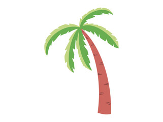 Coconut Tree Illustration
