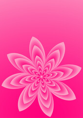 pink flower background