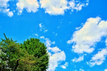 Fototapeta premium sky and clouds