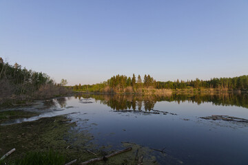 Fototapeta na wymiar A Warm Evening At Astotin Lake
